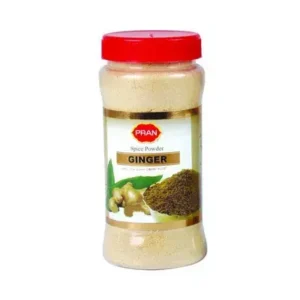 mqobugbmeonqbxnxbnc4 Pran Ginger (Ada) Powder